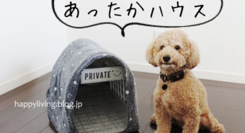 100均商品で【あったか犬猫ハウス】簡単すぎて笑えます。