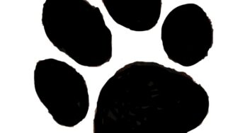 スマホアプリで【愛犬の肉球スタンプ】簡単にオリジナル年賀状が作れるよ。