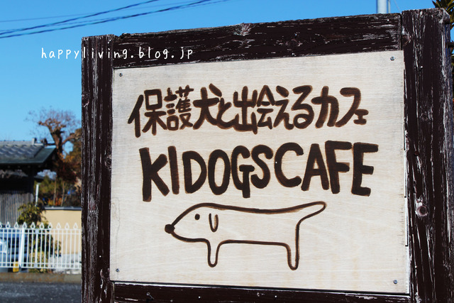 保護犬と出会える！つくばの【キドックスカフェ】は、若者たちの自立も目指してます！！
