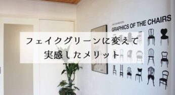 フェイクグリーンに変えて感じた一番のメリットは『虫が減った』ことでした。