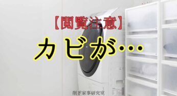 【閲覧注意】洗濯機の一度も掃除していなかった場所。と、木村石鹸Cseries洗濯槽クリーナー。