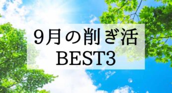 9月の【削ぎ活】BEST３ -削いでんだか、削いでないんだか-
