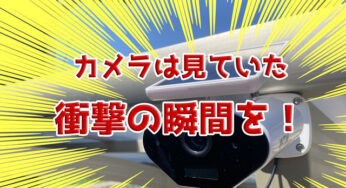 防犯カメラに写った映像に衝撃！怒り心頭、キィーーーッッッ。