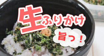 ご飯がすすみすぎてヤバイ【マルイワ食品の生ふりかけ】美味しすぎて、ふりかけの概念を覆された。
