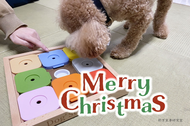 愛犬にもクリスマスプレゼント【夢中になる犬用おもちゃ】Dog’ SUDOKU