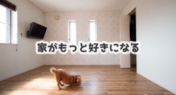 犬のために敷いたクッションフロアですが…