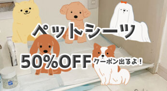 山善のペットシーツ【50%OFFクーポン】が出る！！お見逃しなく〜。