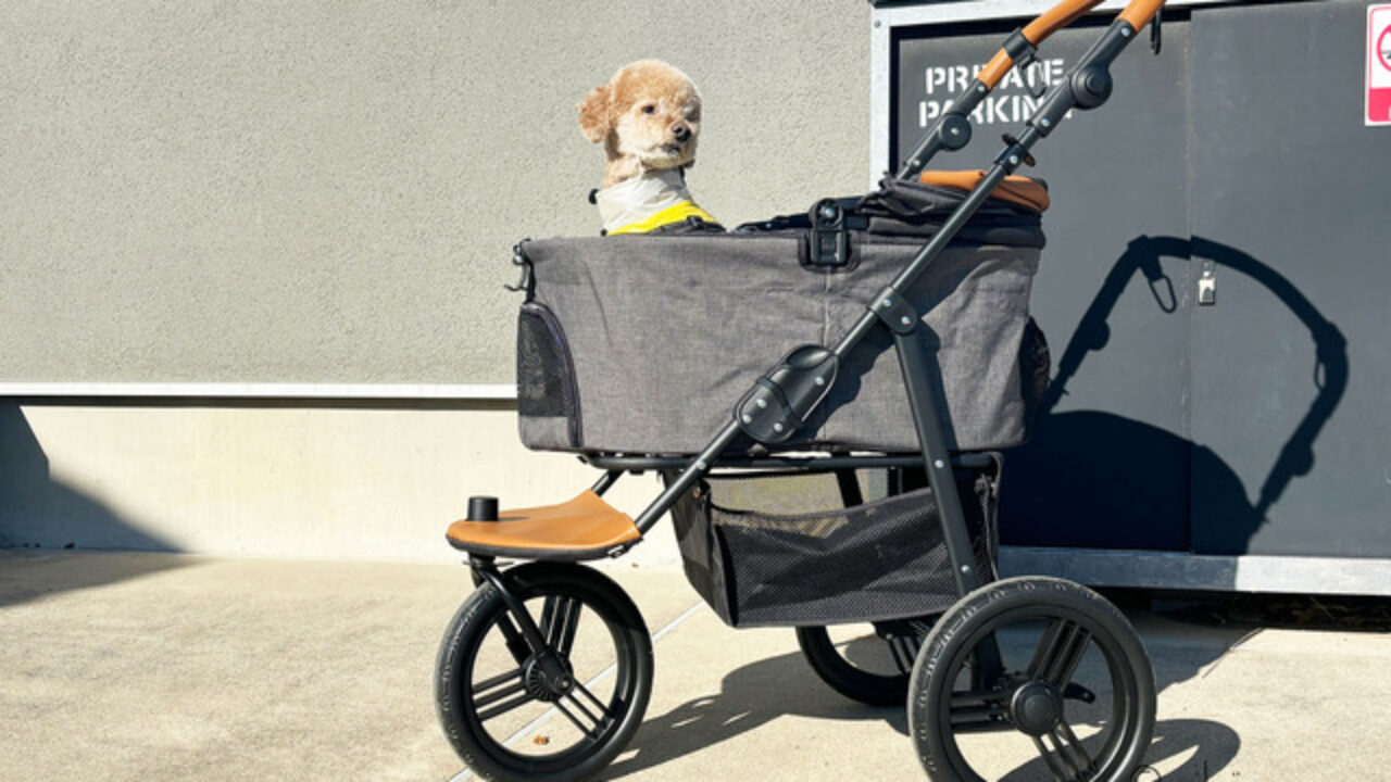 グレー メッシュ ペットカート大型30キロ