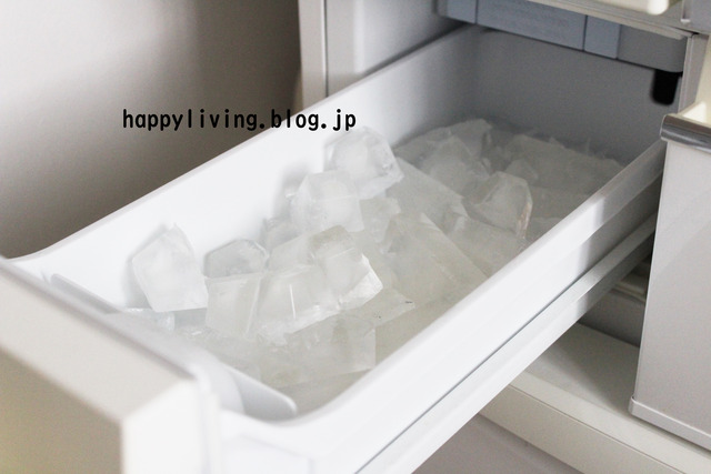 製氷機　掃除　面倒　カビ　製氷皿　冷凍庫　菌 (2)