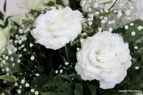 ホワイトインテリアに白い花 (2)