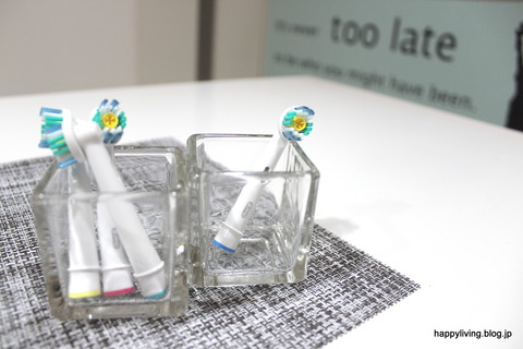 電動歯ブラシ　収納　セリアガラスケース　分類