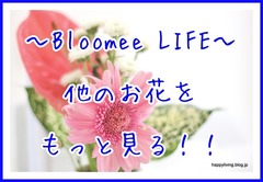 花　ブルーミーライフ　Bloomee LIFE　500円　ポスト投函