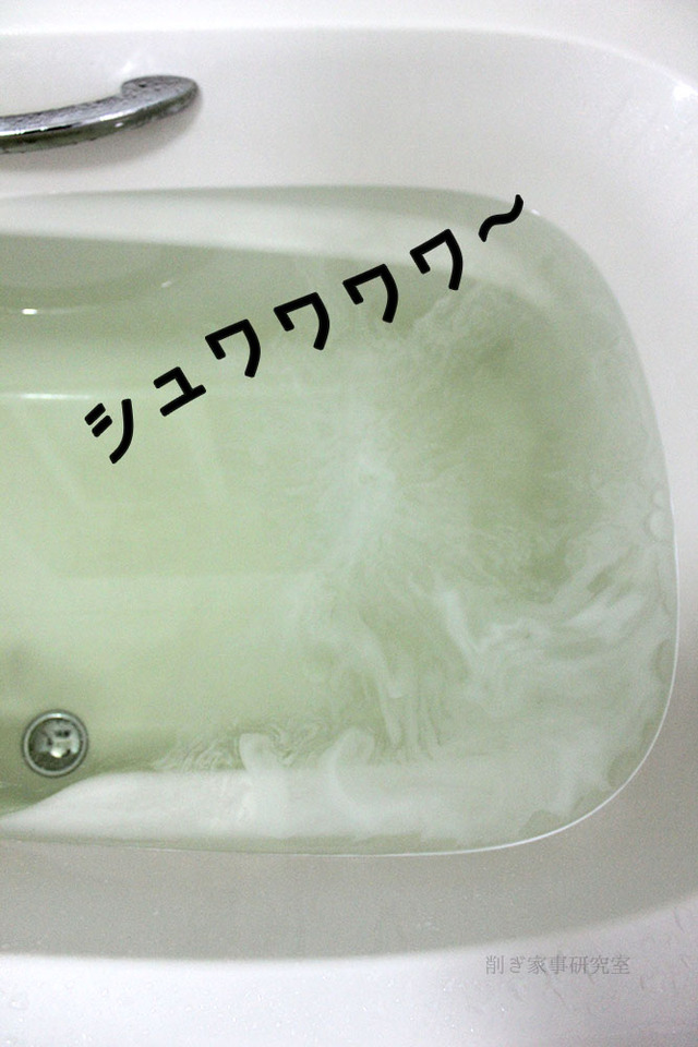 BARTH 入浴剤　美容液　冷え性　肌 (5)